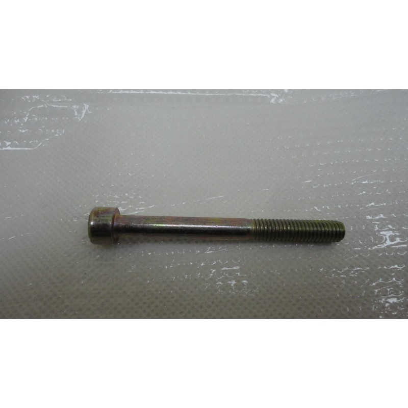 Vite testa cilindrica chiave esagonale Cylinder head screw M6X60 in R.80