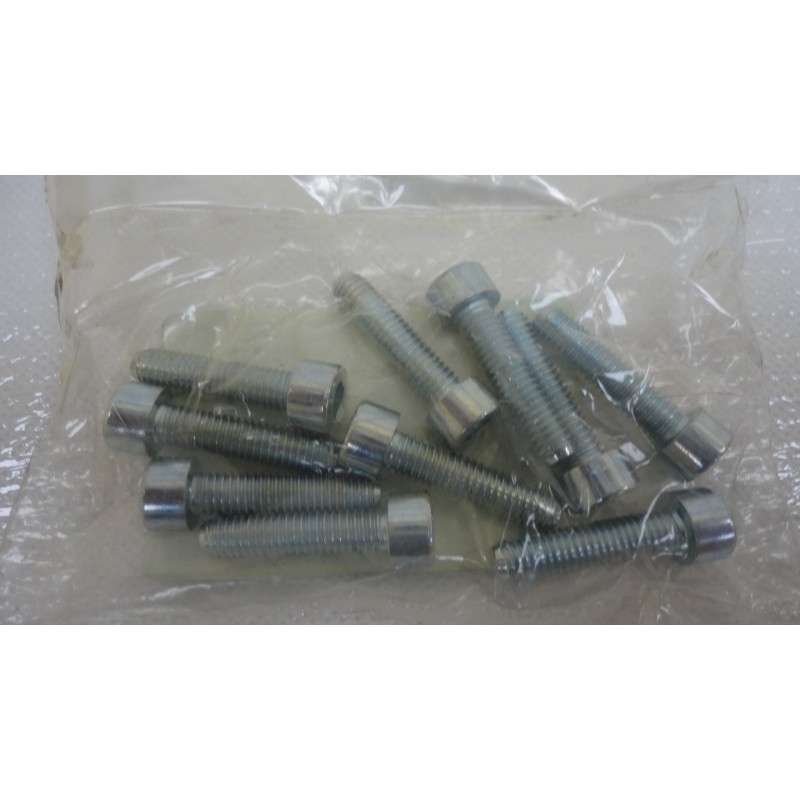Vite testa cava esagono inc. Hexagon socket head screw 6X25 10 PEZZI