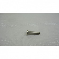 Perno molla a gas sella Gas spring seat pin Vari modelli Diam. 4 Lung. 2,5cm