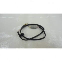 Cablaggio con luce targa License plate light wiring Malaguti Password