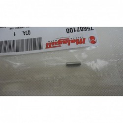 Rullo ingranaggio pompa olio Oil pump gear reel Malaguti CY 50