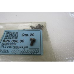 Vite rondellata fissaggio...