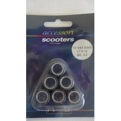 Kit rulli variatore RMS...