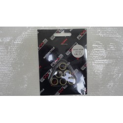 Kit rulli variatore RMS...