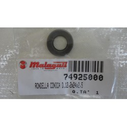 Rondella conica Conical...