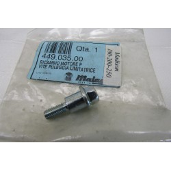 Vite puleggia limatrice...