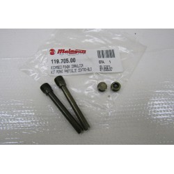 Perni pastiglie pinza freno...