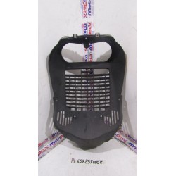 Plastica griglia radiatore...