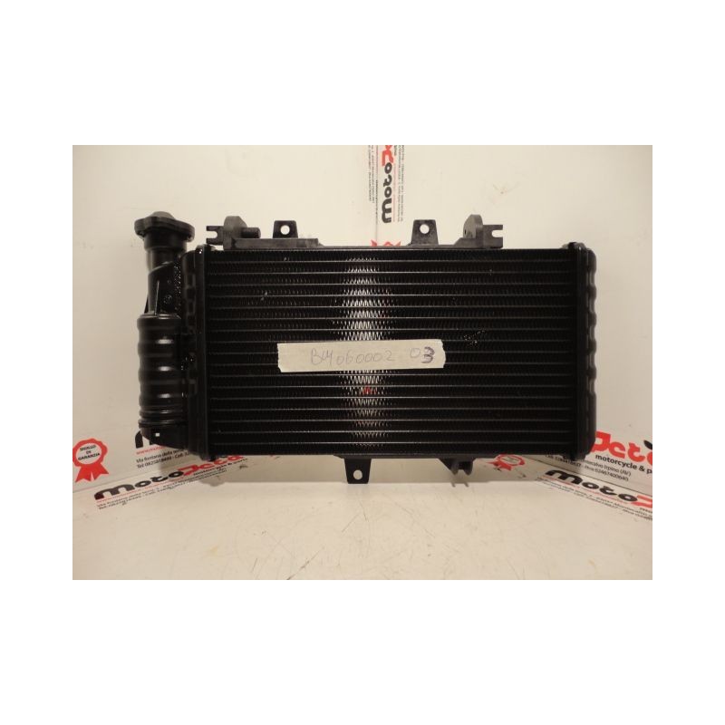 Radiatore Acqua Water Radiator Kuhlerlufter BMW F 800 R S 05 14