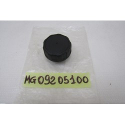 Tappo serbatoio Fuel tank...