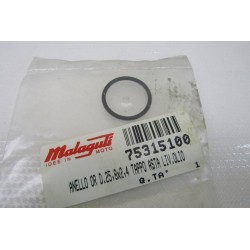 O-ring tappo asta livello...