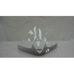 Parabrezza Windshield...