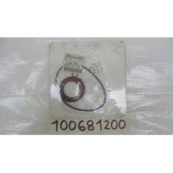 Serie guarnizioni motore...