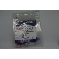 Paraolio 17X30X5 Seal Sym...