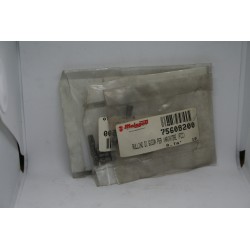 Rullino guida variatore...