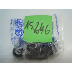 Paraolio 15X24X6 Seal