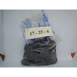 Paraolio 17X25X4 Seal