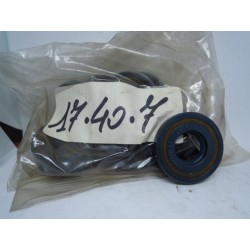 Paraolio 17X40X7 Seal