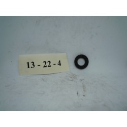Paraolio 13X22X4 Seal