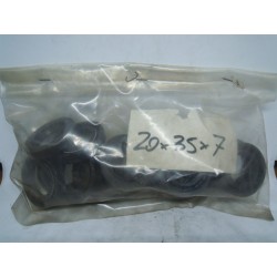 Paraolio 20X35X7 Seal