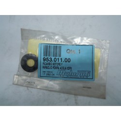 Paraolio pompa acqua...