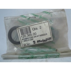 Paraolio + anello 28X38X7/9...