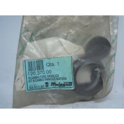 Kit paraolio Seal set...