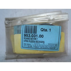 O-ring puleggia secondaria...