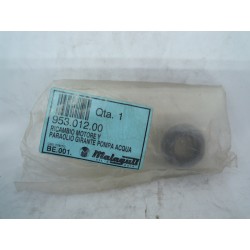 Paraolio girante pompa...