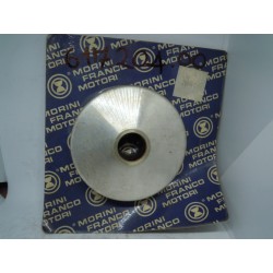 Semipuleggia anteriore...