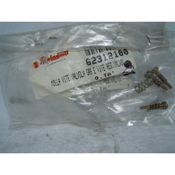 Molla vite valvola gas +...