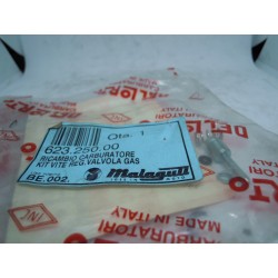 Vite regolazione valvola...