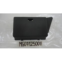 Plastica coperchio batteria...