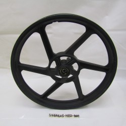 Cerchio anteriore Front rim...
