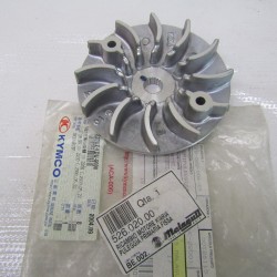 Puleggia primaria fissa...