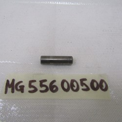 Perno ingranaggio...