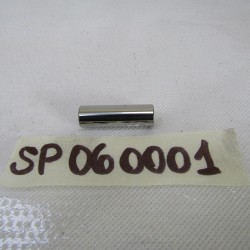 Spinotto pistone D.10X33...