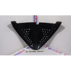 Plastica griglia radiatore...