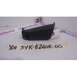 Plastica cover dx radiatore...
