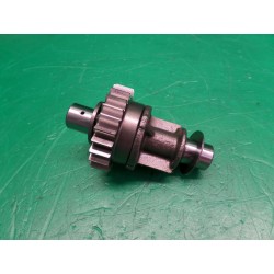 Contralbero Albero...