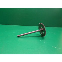 ALBERO INGRANAGGIO POMPA...