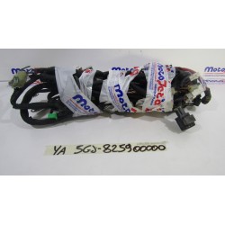 Impianto elettrico Wiring...