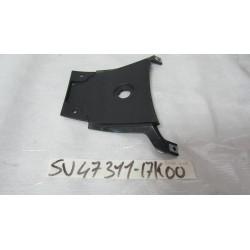 Plastica centrale coda...