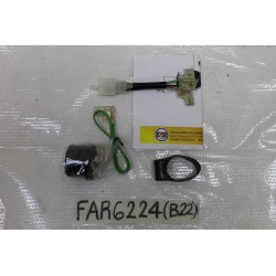 Relè intermittenza frecce...