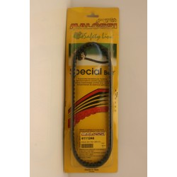 Cinghia trasmissione...