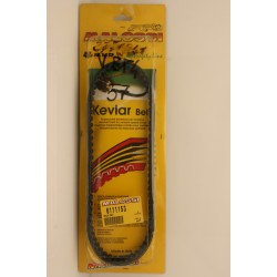 Cinghia trasmissione...