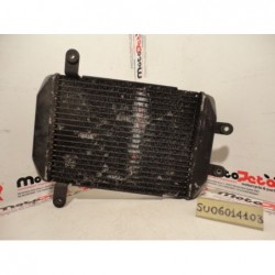 Radiatore radiator suzuki burgman 250 98-01