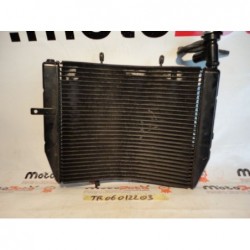 Radiatore acqua Water Radiator Triumph Daytona 675 06 12