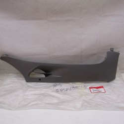 Carena sottopedana dx...