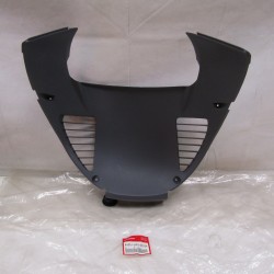 Carena griglia radiatore...